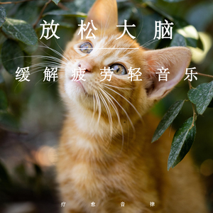 国产欧美亚洲日本久久高清99
